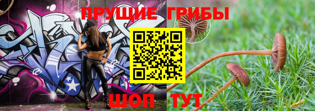 Тихорецк  Галлюциногенные грибы GOLDEN TEACHER  Вход с VPN  Галлюциногенные грибы Psilocybine cubensis 