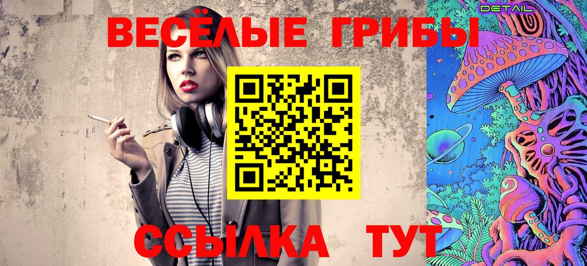 Псилоцибиновые грибы Psilocybe Тихорецк